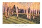 Aspen Light (Left) by Gary Max Collins