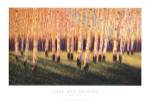Aspen Light (Right) by Gary Max Collins
