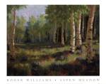 Aspen Meadow by Roger Williams