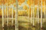 Aspens by Danhui Nai