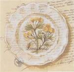 Assiette, Adonis Vernalis by Pascal Cessou