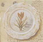 Assiette, Crocus vermus by Pascal Cessou