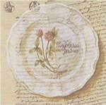 Assiette, Tripolium pratence by Pascal Cessou