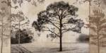 At Dawn III by Pela and Silverman