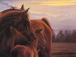 At Her Side by Bonnie Mohr