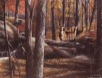 Autumn Alert by Kevin Daniel