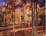 Autumn Aspens by John Gavrilis