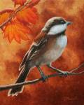 Autumn Chickadee by Crista Forest