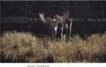 Autumn Foraging by Ron Parker