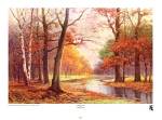 Autumn Glade by Robert Wood