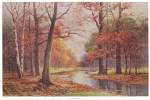 Autumn Glade by Robert Wood