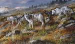 Autumn In Alaska by Trevor V. Swanson