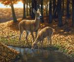 Autumn Innocence I by Crista Forest