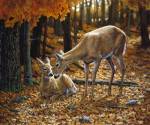 Autumn Innocence II by Crista Forest