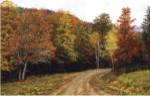 Autumn Lane by Jean K. Stephens