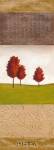 Autumn Light III by Jodi Reeb-myers