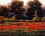 Autumn Poppies II by T.C. Chiu