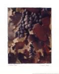 Autumn Print by Doreen Wynja