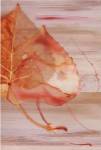 Autumn Radiance I by S. & R. Rasheed