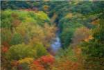 Autumn River by David Liam Kyle