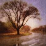 Autumn Road by Sally Wetherby