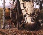 Autumn's Majesty by Kevin Daniel