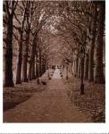 Autumn Stroll II by Boyce Watt