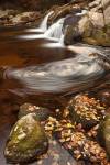 Autumn Swirly by Michael Blanchette Photography