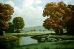Autumn Trees 1 by Thomas Linker