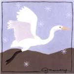 Avian January by Megan Meagher