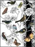 Aviary II by Chariklia Zarris