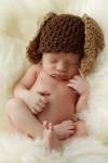 Baby Brown Knit Ears by Tanya Hovey