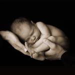 Baby Curled In Hands by Tanya Hovey