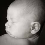 Baby Ear II by Tanya Hovey