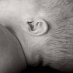 Baby Ear III by Tanya Hovey