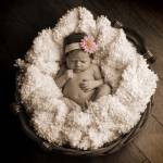 Baby in Basket 2 by Tanya Hovey