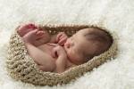 Baby In Beige Pod by Tanya Hovey