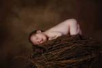 Baby In Bird Nest by Tanya Hovey