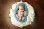 Baby In Blue Pod by Tanya Hovey