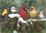 Backyard Birds On Snowy Branch by William Vanderdasson