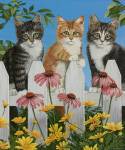 Backyard Kittens by William Vanderdasson