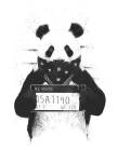 Bad Panda by Balazs Solti