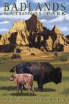 Badlands National Park Wilderbeest by Lantern Press