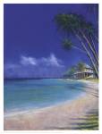 Bahama Cove by Fred Fieber