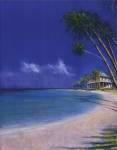 Bahama Cove by Fred Fieber