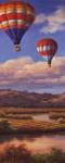 Balloon Panel I by Sung Kim