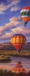 Balloon Panel II by Sung Kim