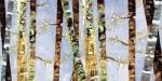 Bark Abstract by Carmen Dolce