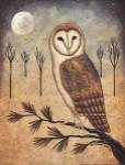 Barn Owl by Donna Atkins