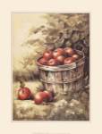 Barrel Apples by Peggy Thatch Sibley